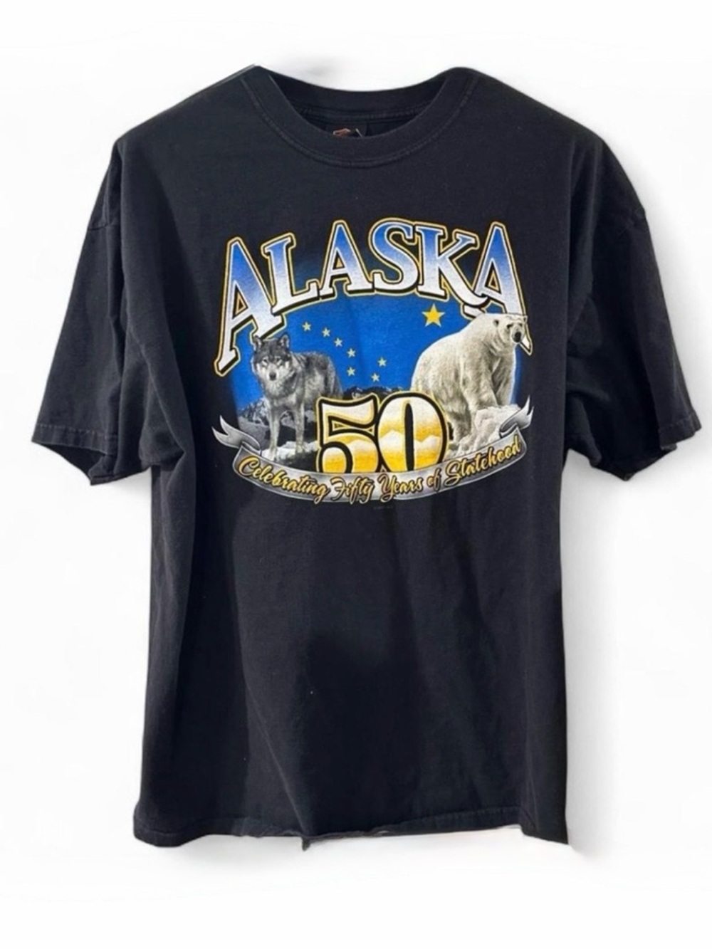 VTG Y2K Harley Davidson Fairbanks, Alaska 50th Graphic T-Shirt Size Men’s 2XL - Picture 6 of 6